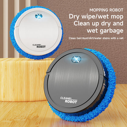 Fully Automatic Intelligent Mute Sweeping Robot