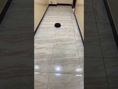 Fully Automatic Intelligent Mute Sweeping Robot